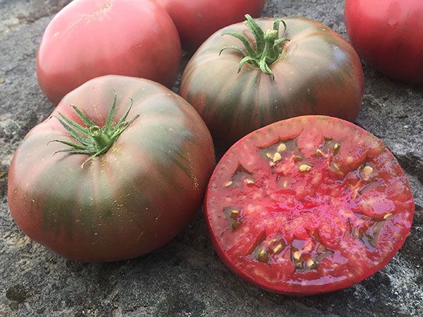 Black Krim (Black Russian) Tomato Seeds