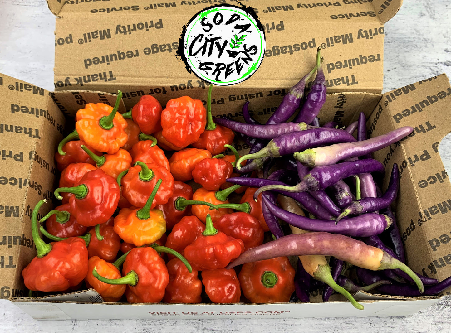 Fresh Pepper Boxes