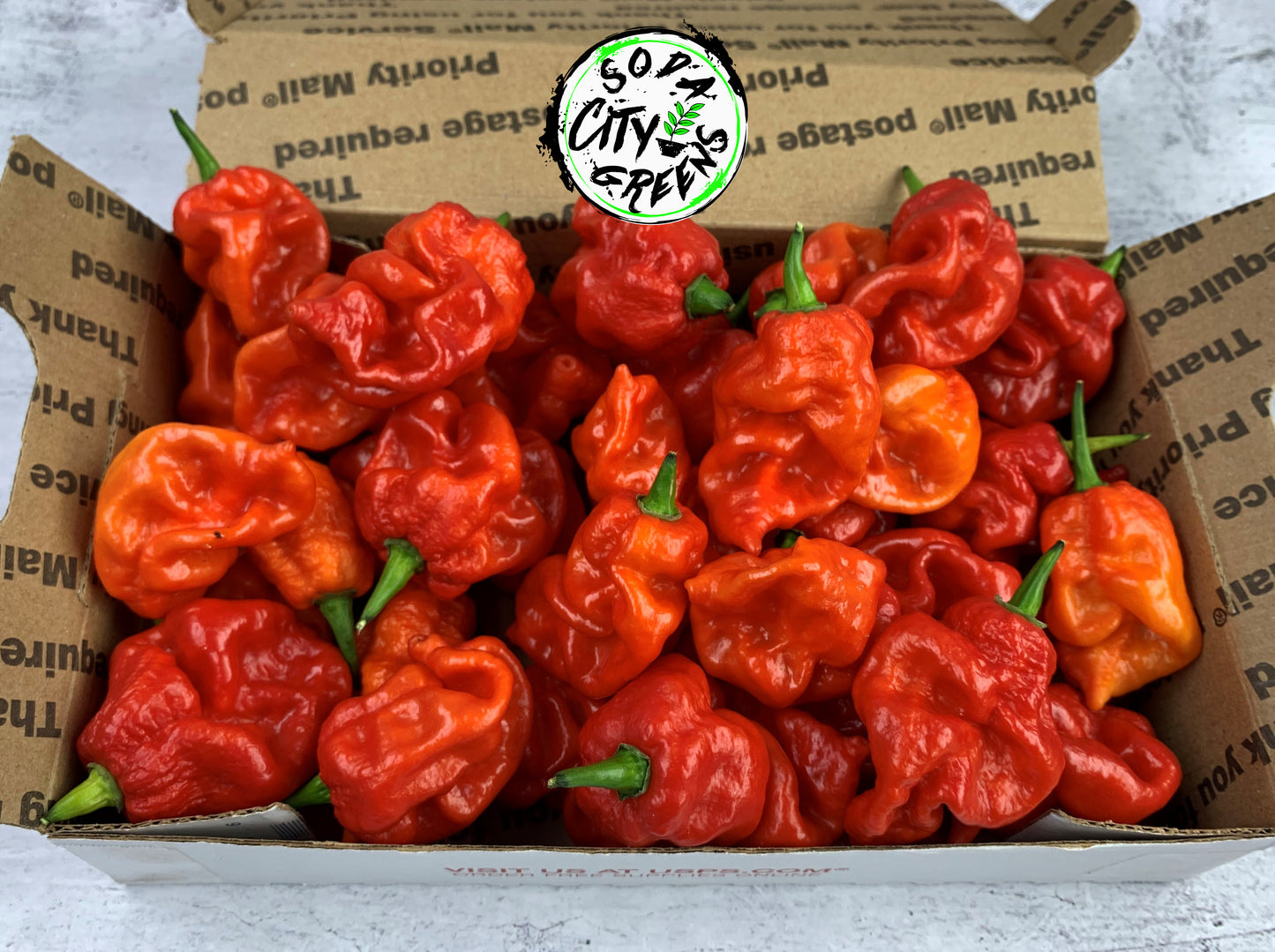 Fresh Pepper Boxes