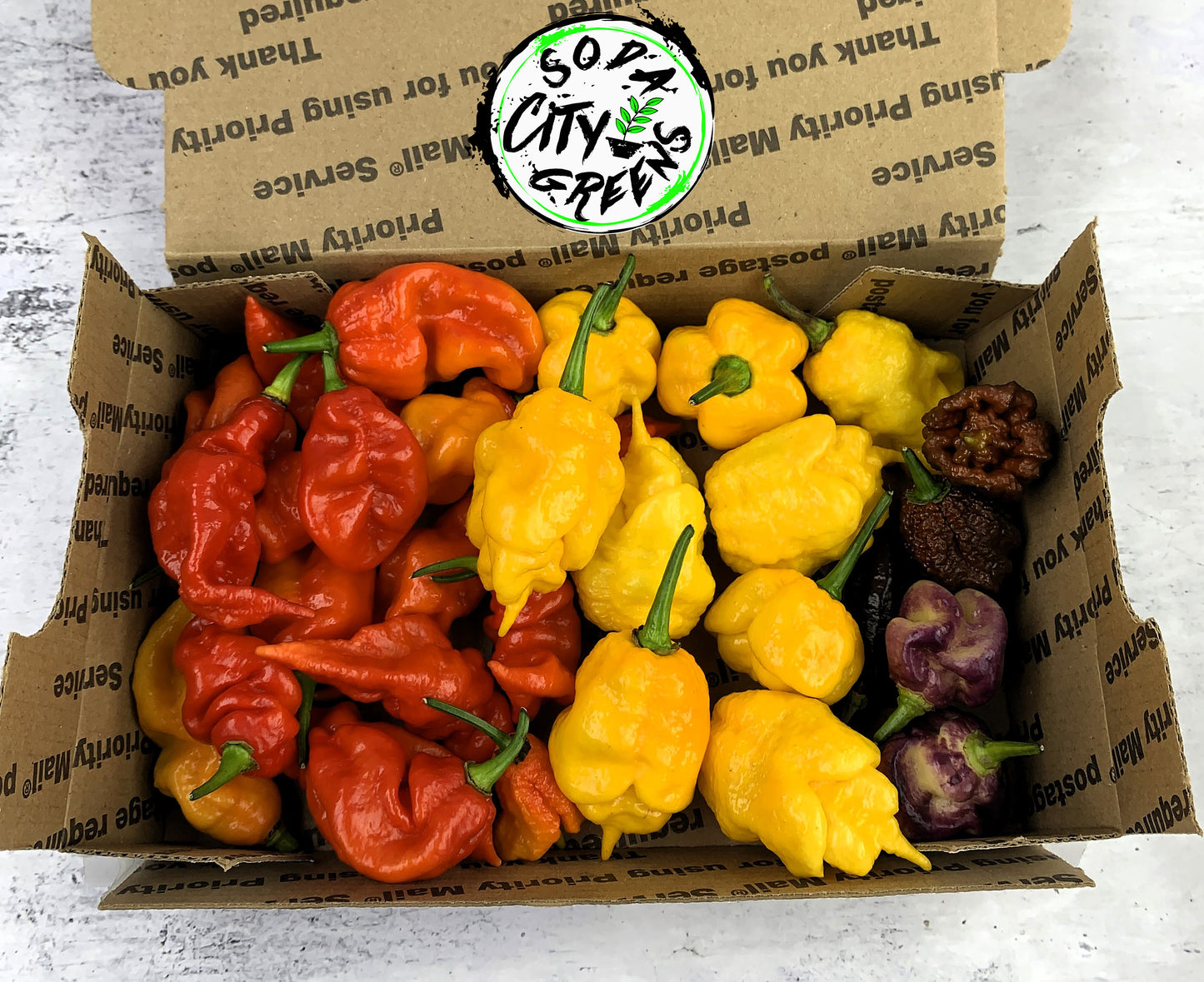 Fresh Pepper Boxes