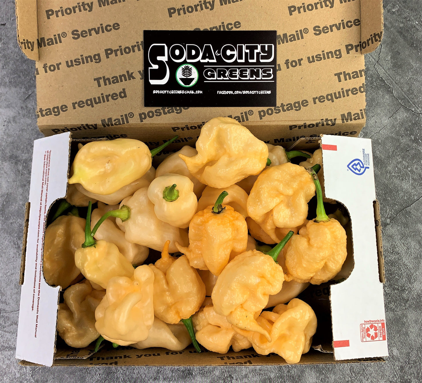 Fresh Pepper Boxes