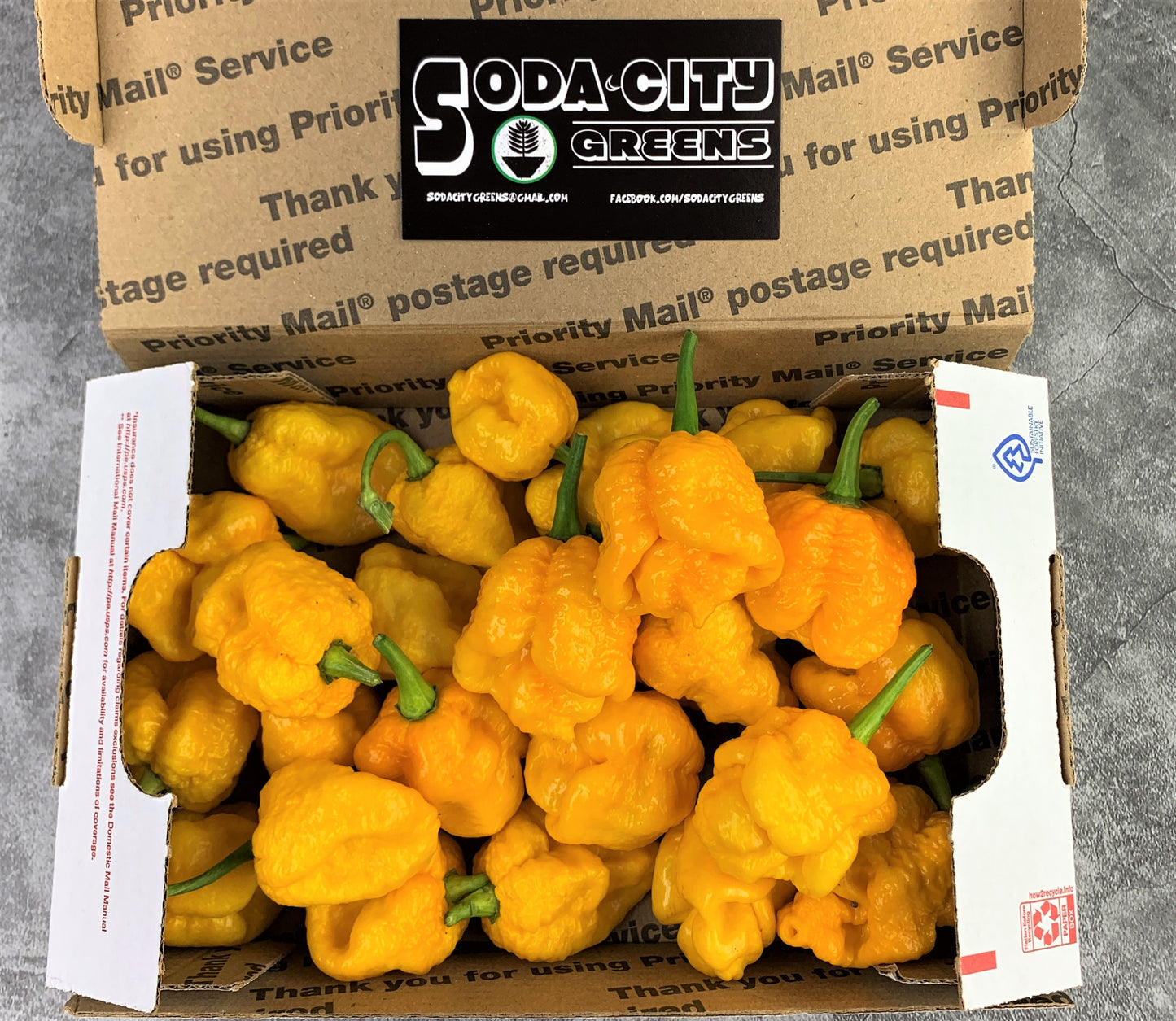 Fresh Pepper Boxes
