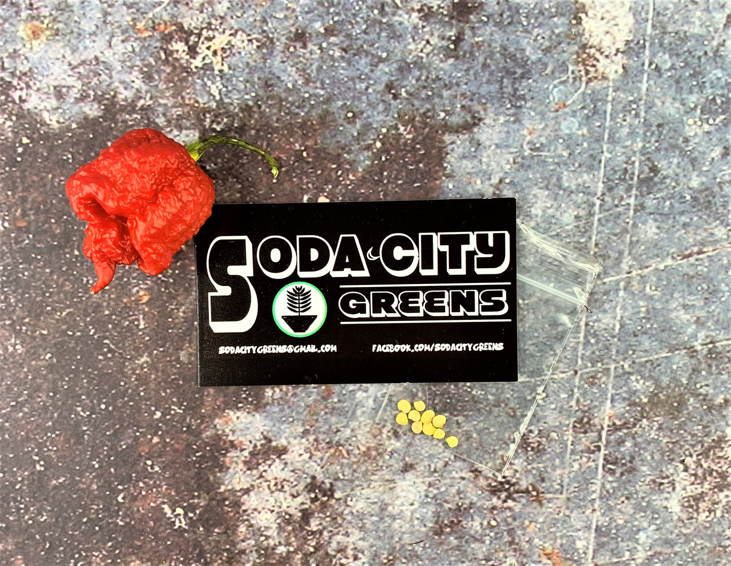 Brain Stinger Pepper Seeds
