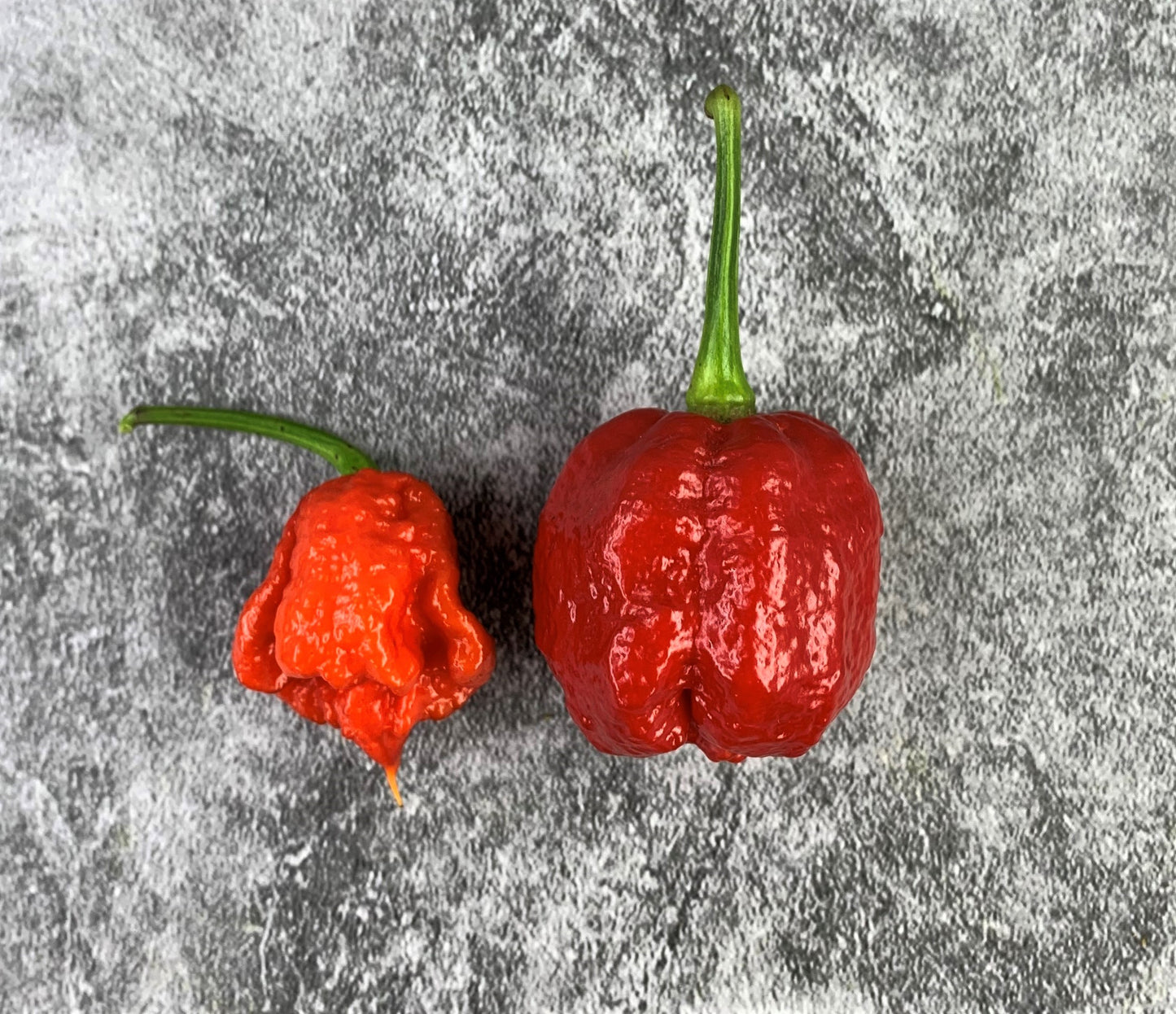 Butch T Reaper Scorpion Pepper Seeds
