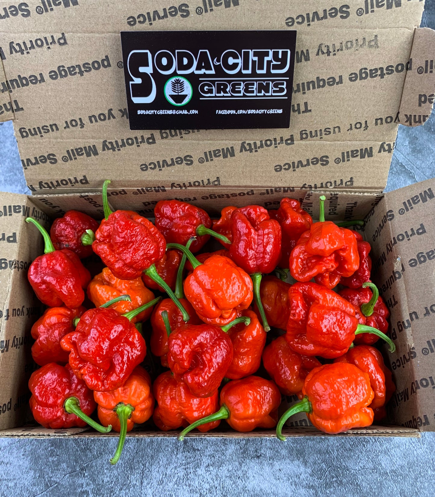 Butch T Reaper Scorpion Pepper Seeds