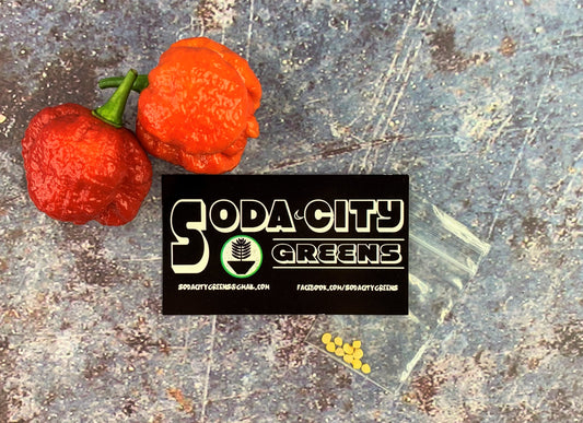 Butch T Reaper Scorpion Pepper Seeds