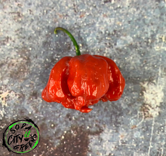 C22 Stinger Pepper Seeds