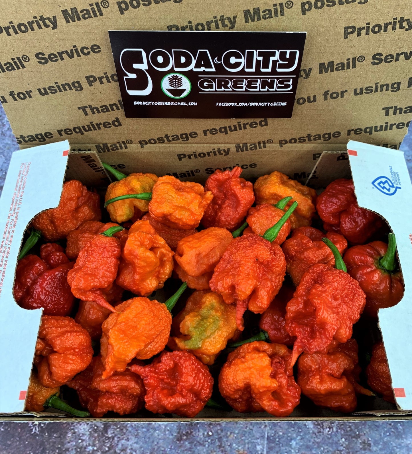 Fresh Pepper Boxes