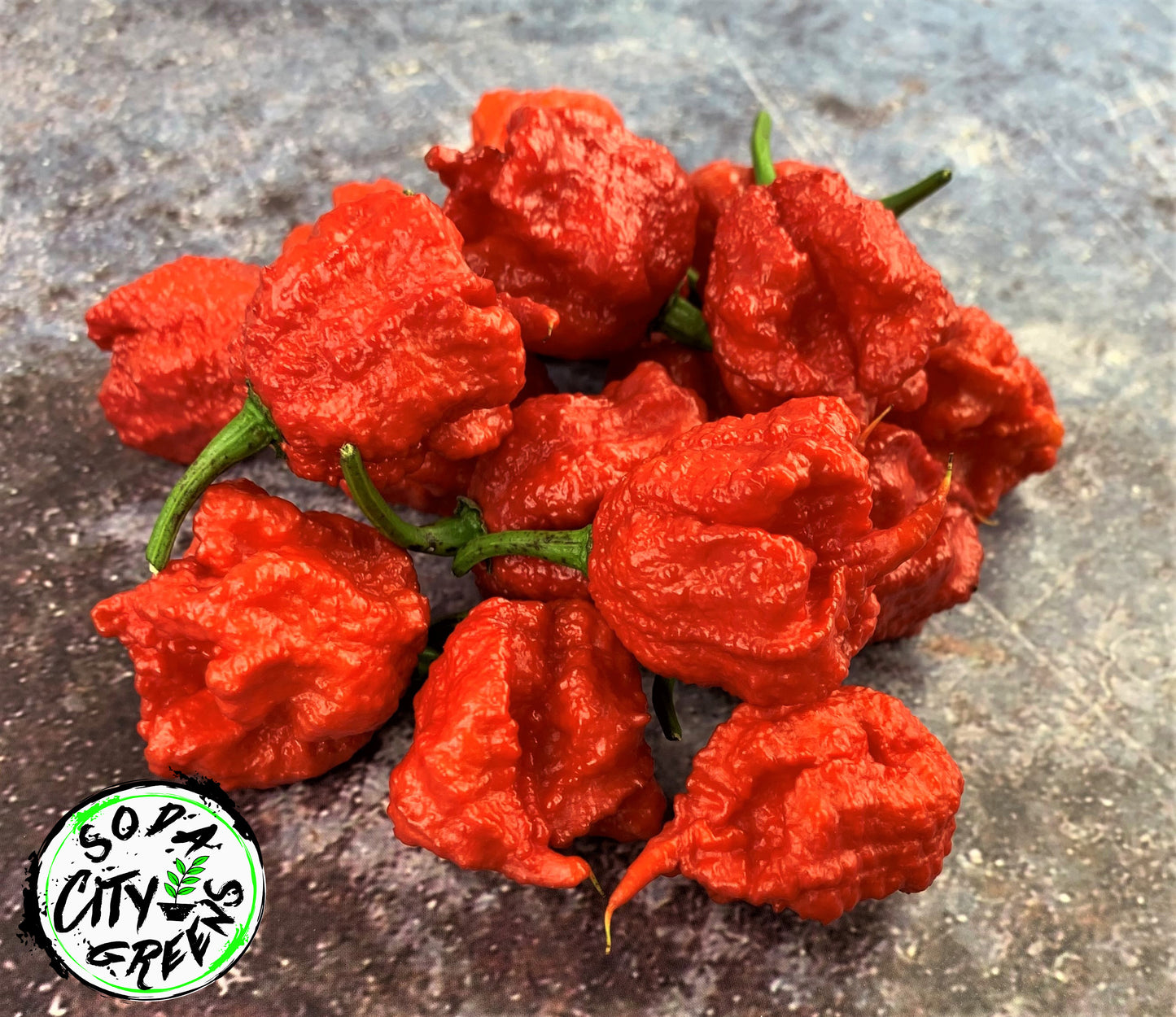 Red Carolina Reaper Pepper Seeds