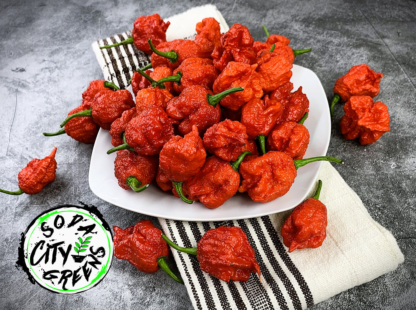 Red Carolina Reaper Pepper Seeds