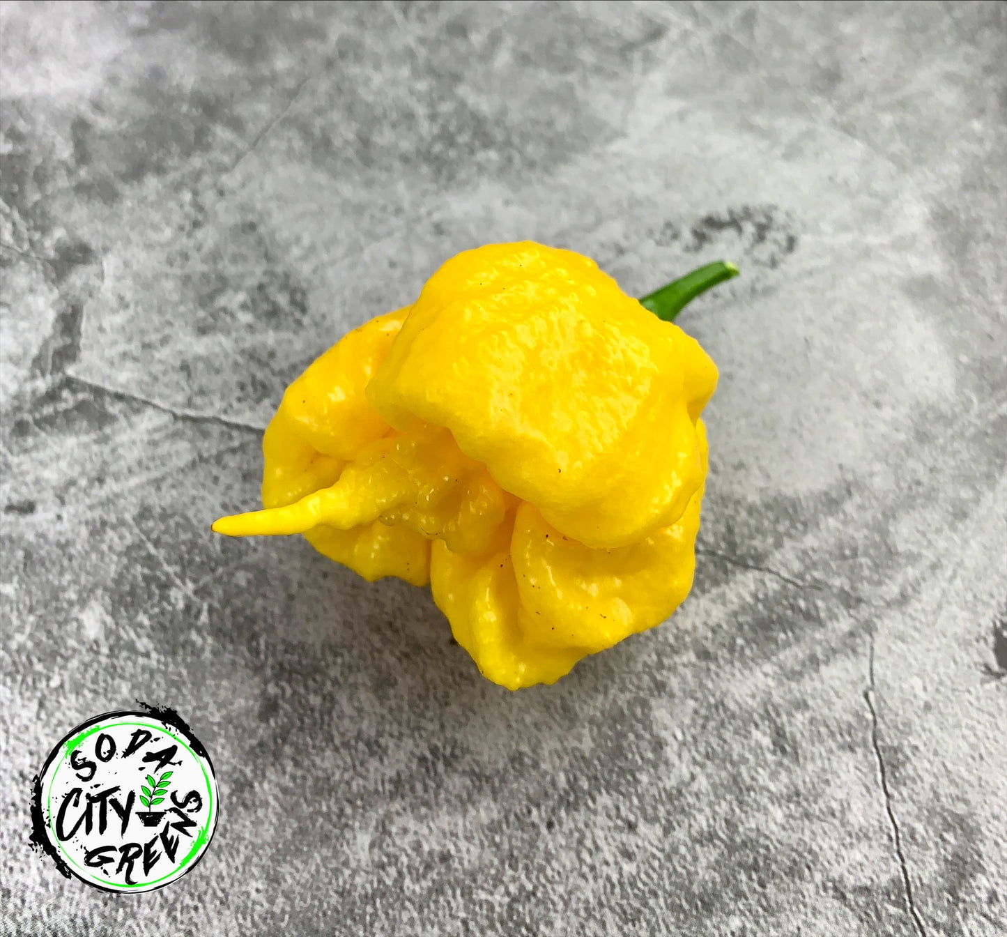 Yellow Carolina Reaper Pepper Seeds