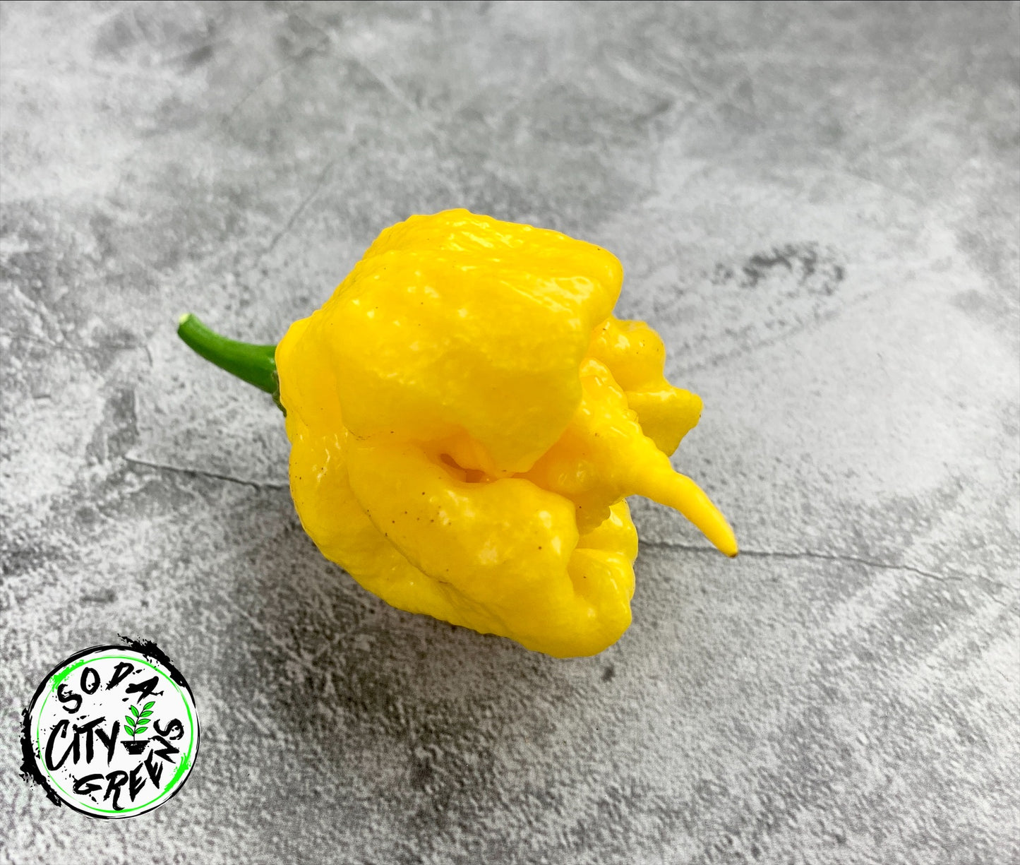 Yellow Carolina Reaper Pepper Seeds