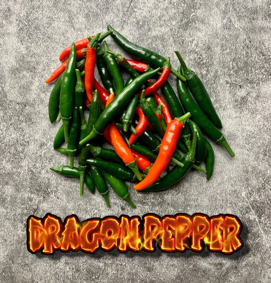 Dragon Cayenne Pepper Live Plants