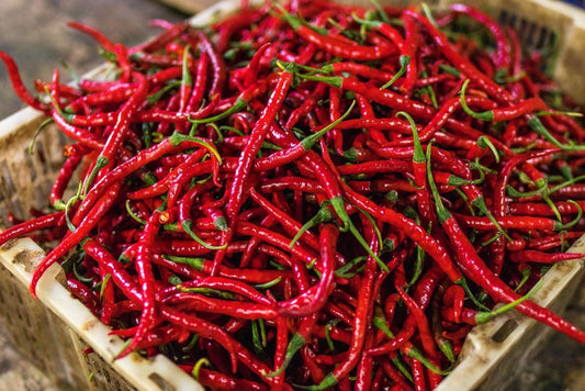 Long Slim Cayenne Pepper Seeds