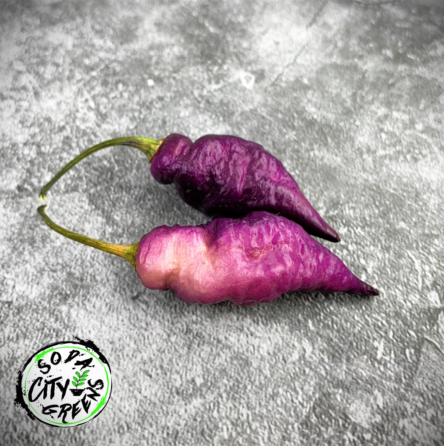Purple Pepper Seed Variety Pack (You choose!)