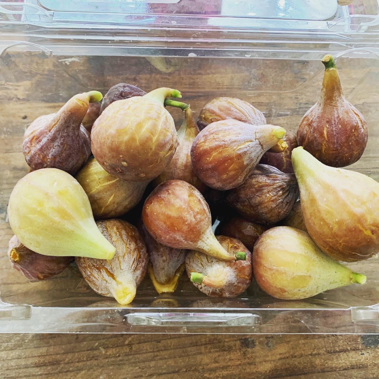 Celeste Fig Cuttings- Bare Root