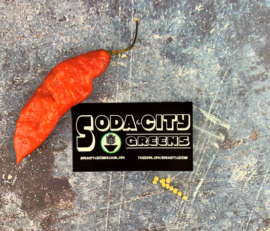 Ghost Pepper (Bhut Jolokia) Seeds