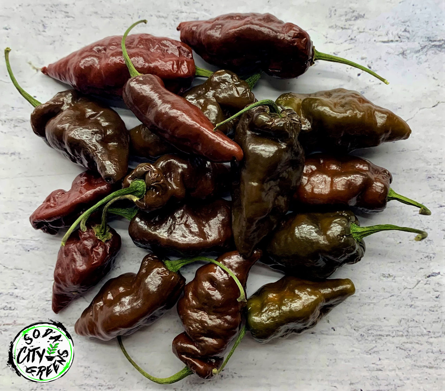 Chocolate Ghost Pepper Seeds