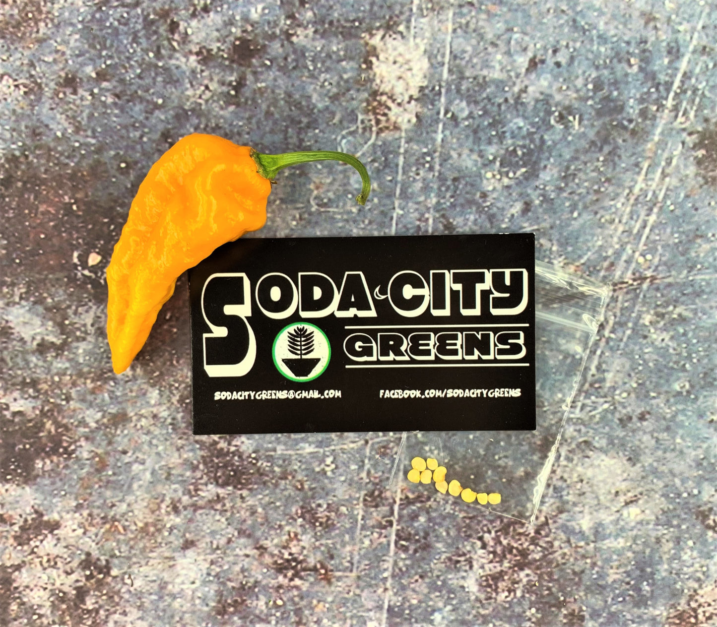 Golden Ghost Pepper Seeds