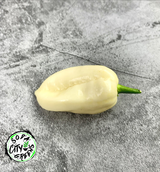 White Habanero Pepper Seeds