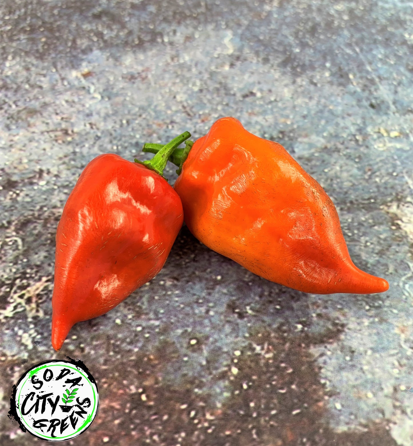 Habanada (Heatless Habanero) Pepper Seeds