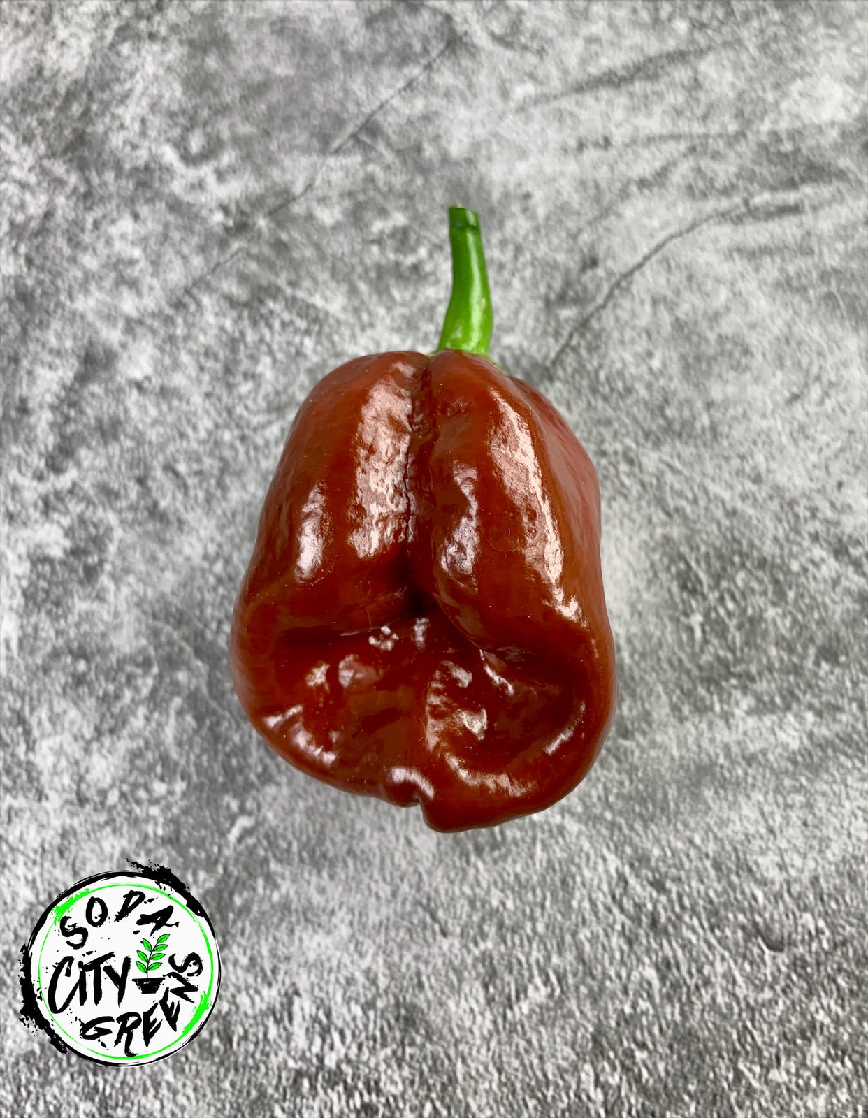 Chocolate Habanero Pepper Seeds