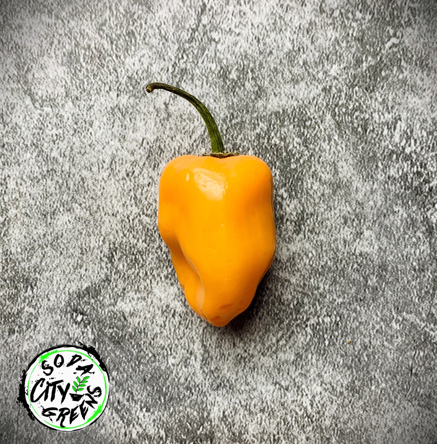 Orange Habanero Pepper Seeds