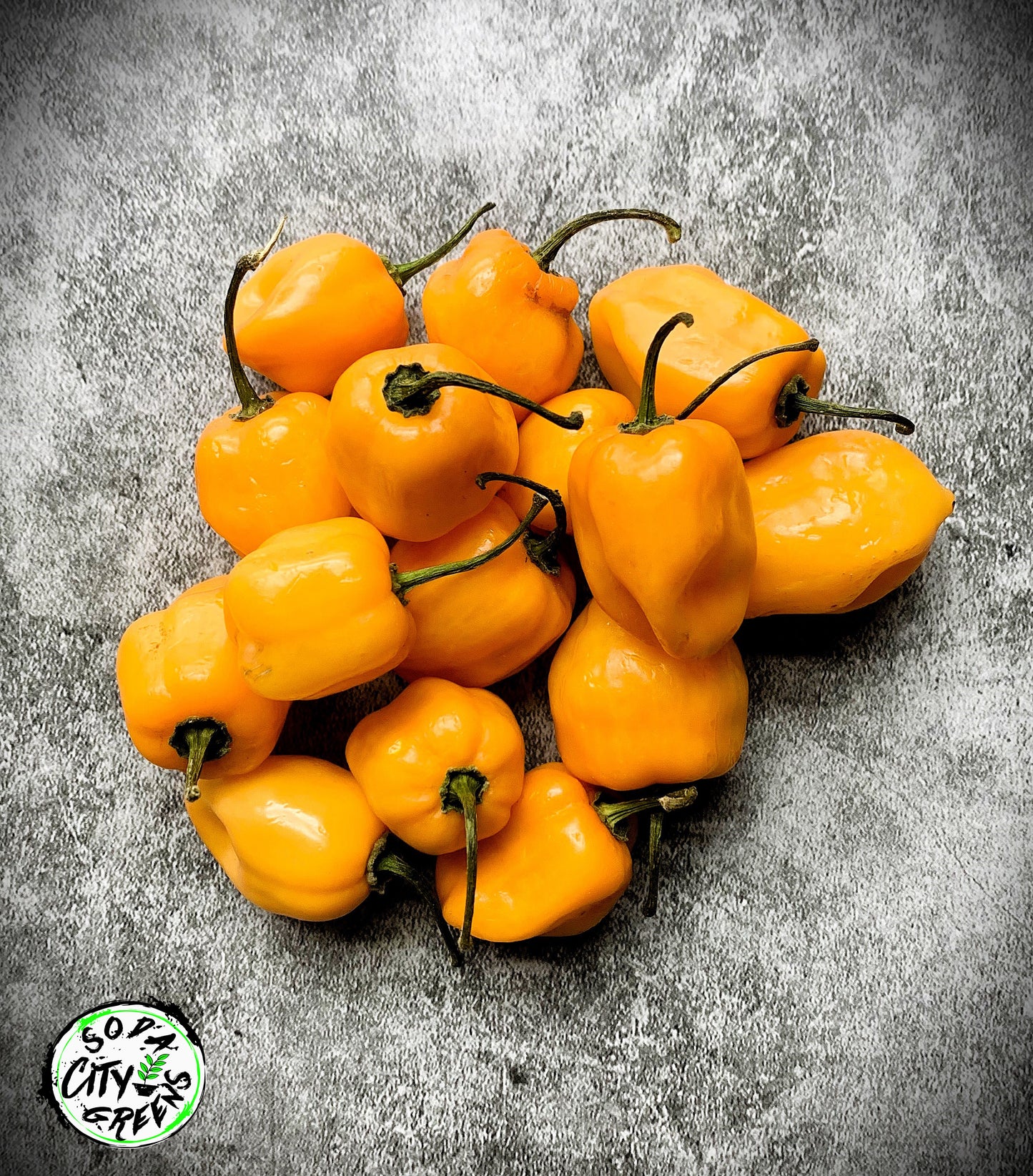 Orange Habanero Pepper Seeds