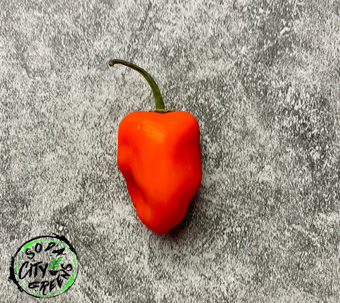 Red Habanero Pepper Seeds