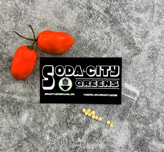 Red Habanero Pepper Seeds