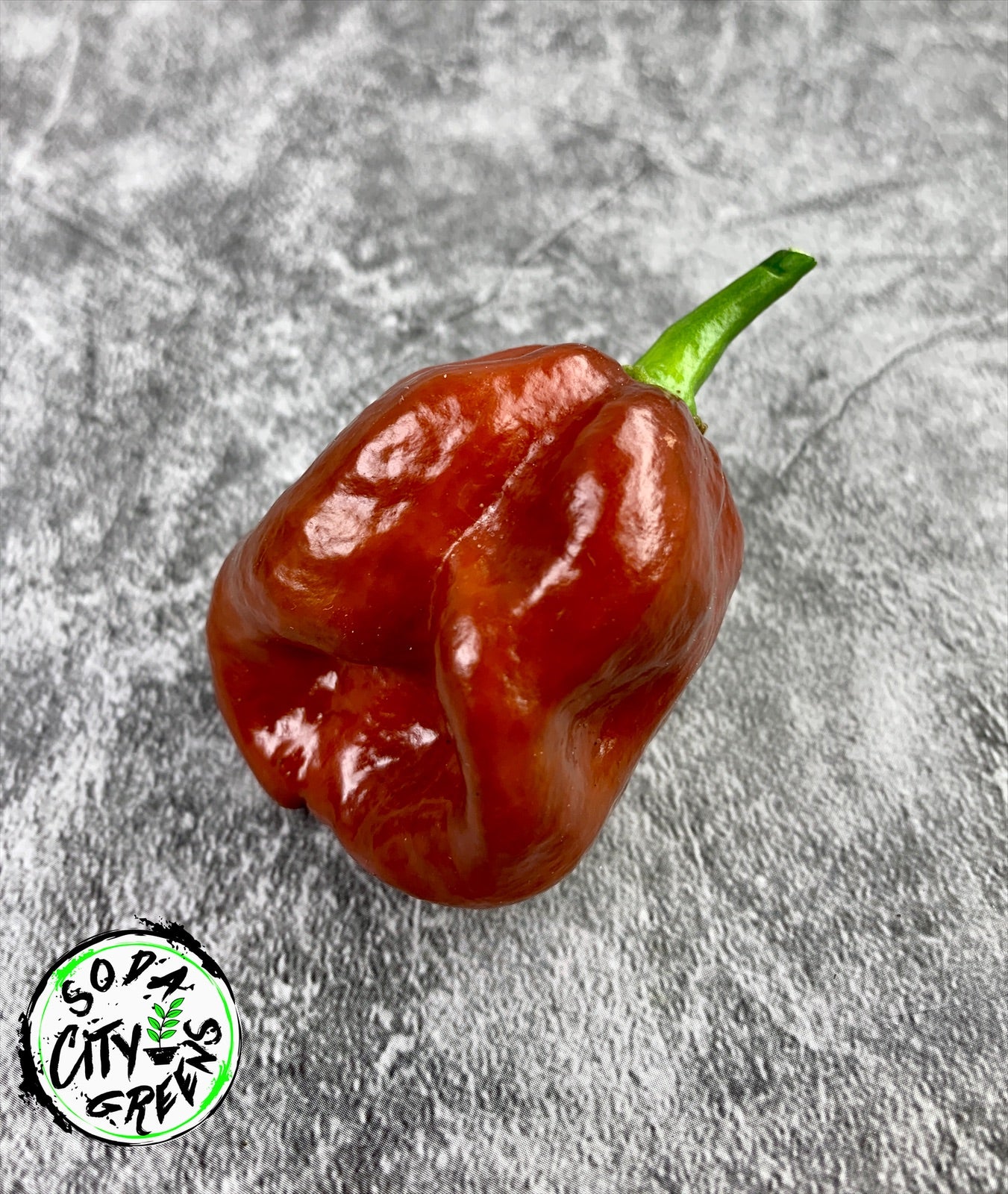 Chocolate Habanero Pepper Seeds