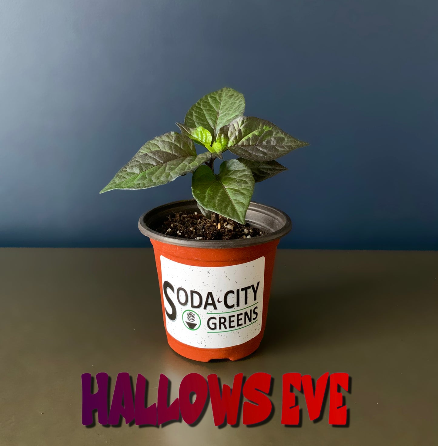Hallows Eve Pepper Seeds