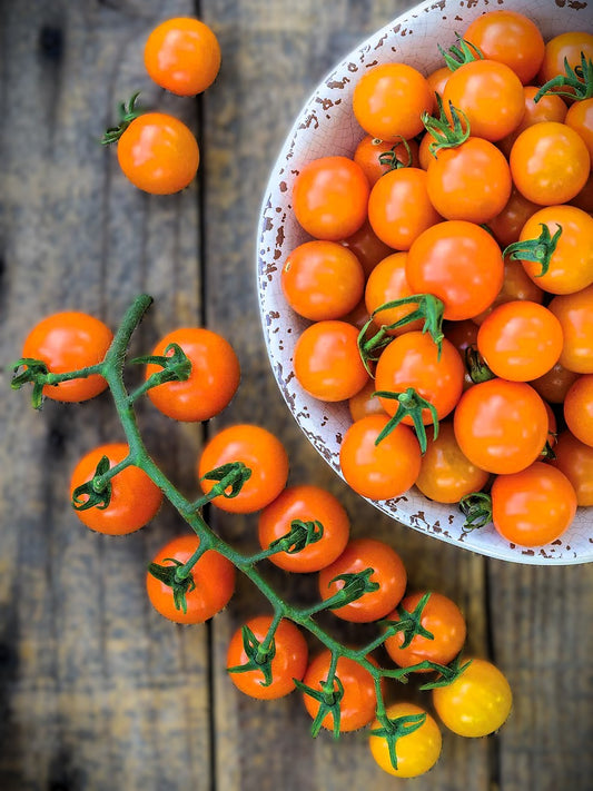 Honeycomb Tomato Live Plants