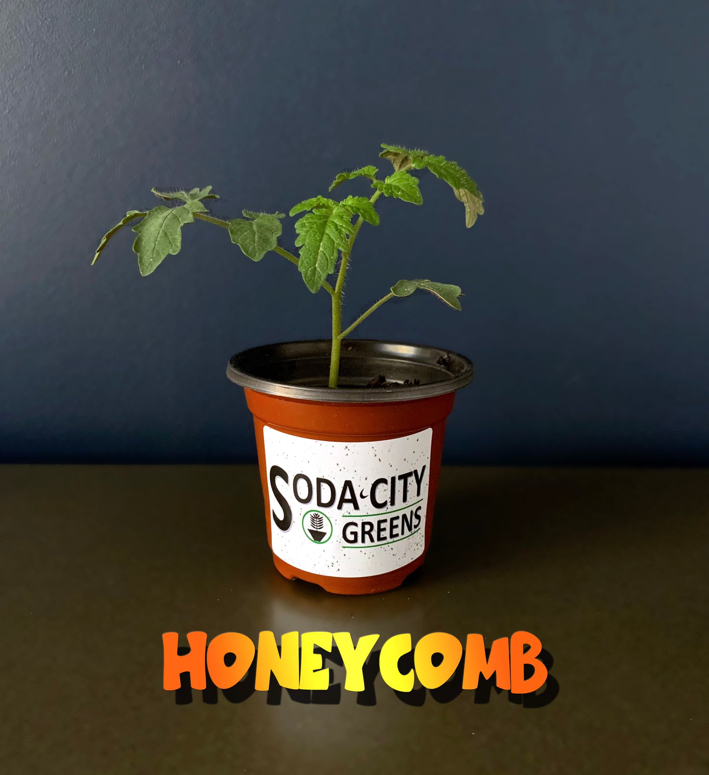 Honeycomb Tomato Seeds