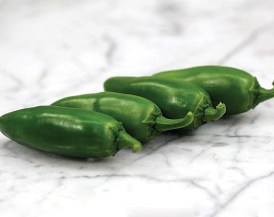 Coolapeno (Heatless Jalapeno) Hybrid Pepper Seeds