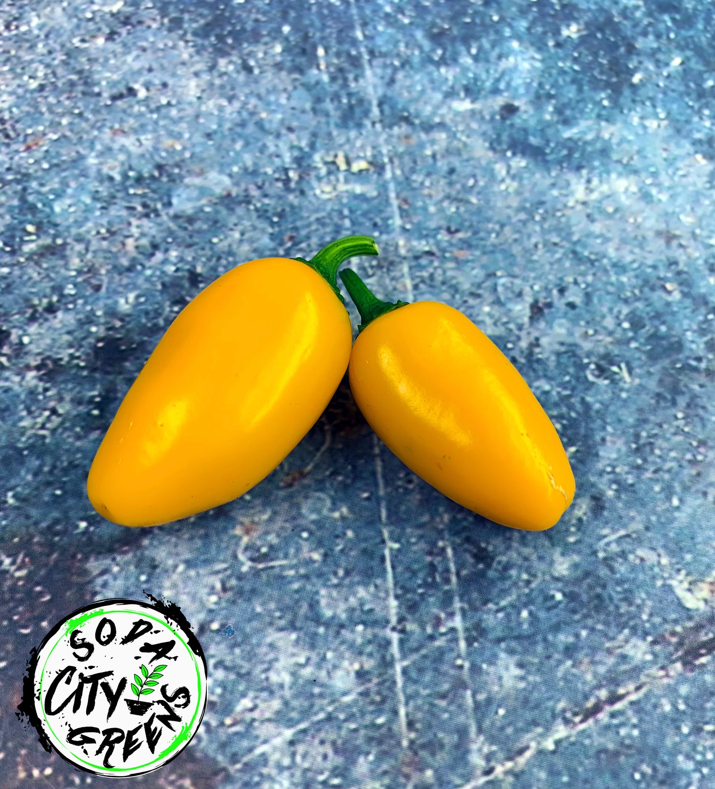 Pumpkin Spice Jalapeno Pepper Seeds