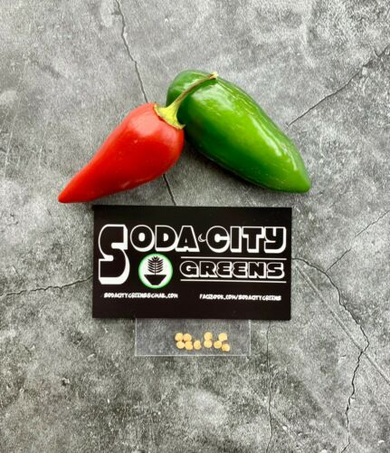 Jalapeno Pepper Seeds
