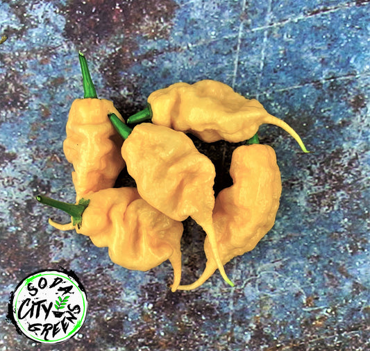 Jay's Peach Ghost Scorpion JPGS Pepper Seeds