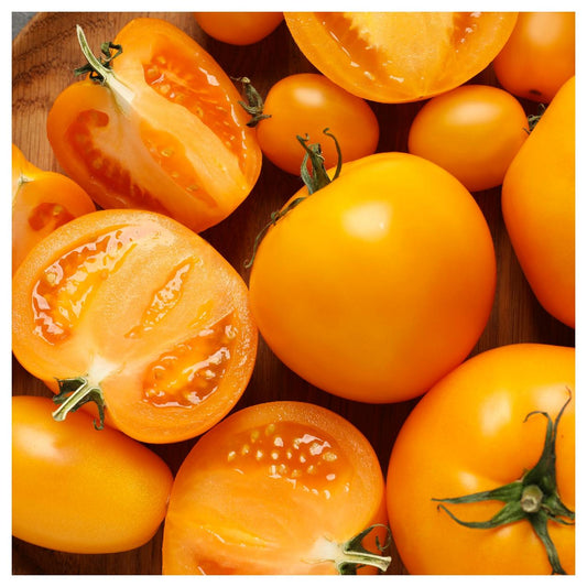 Jubilee Tomato Seeds
