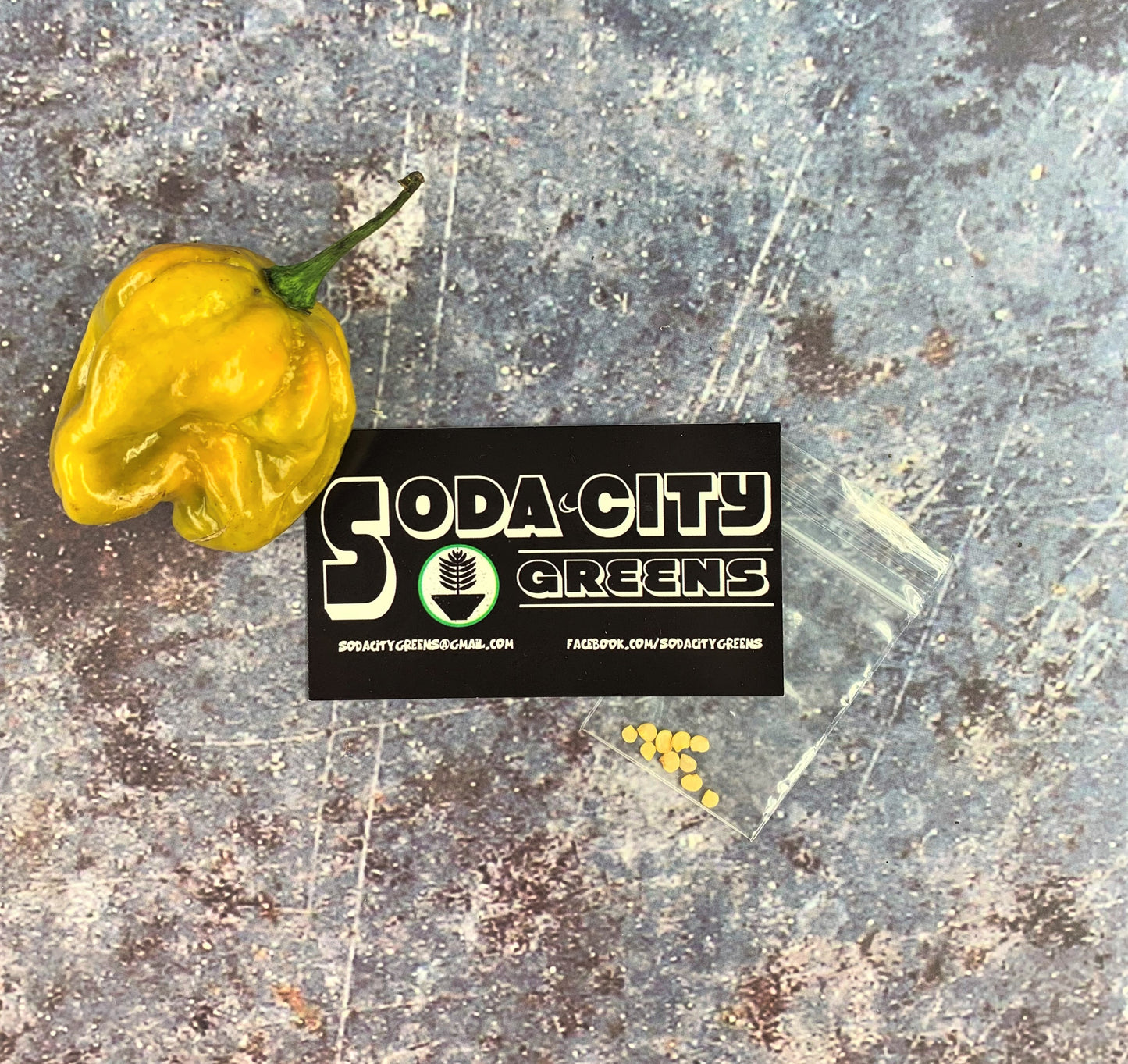 Mustard Moruga Scorpion Pepper Seeds