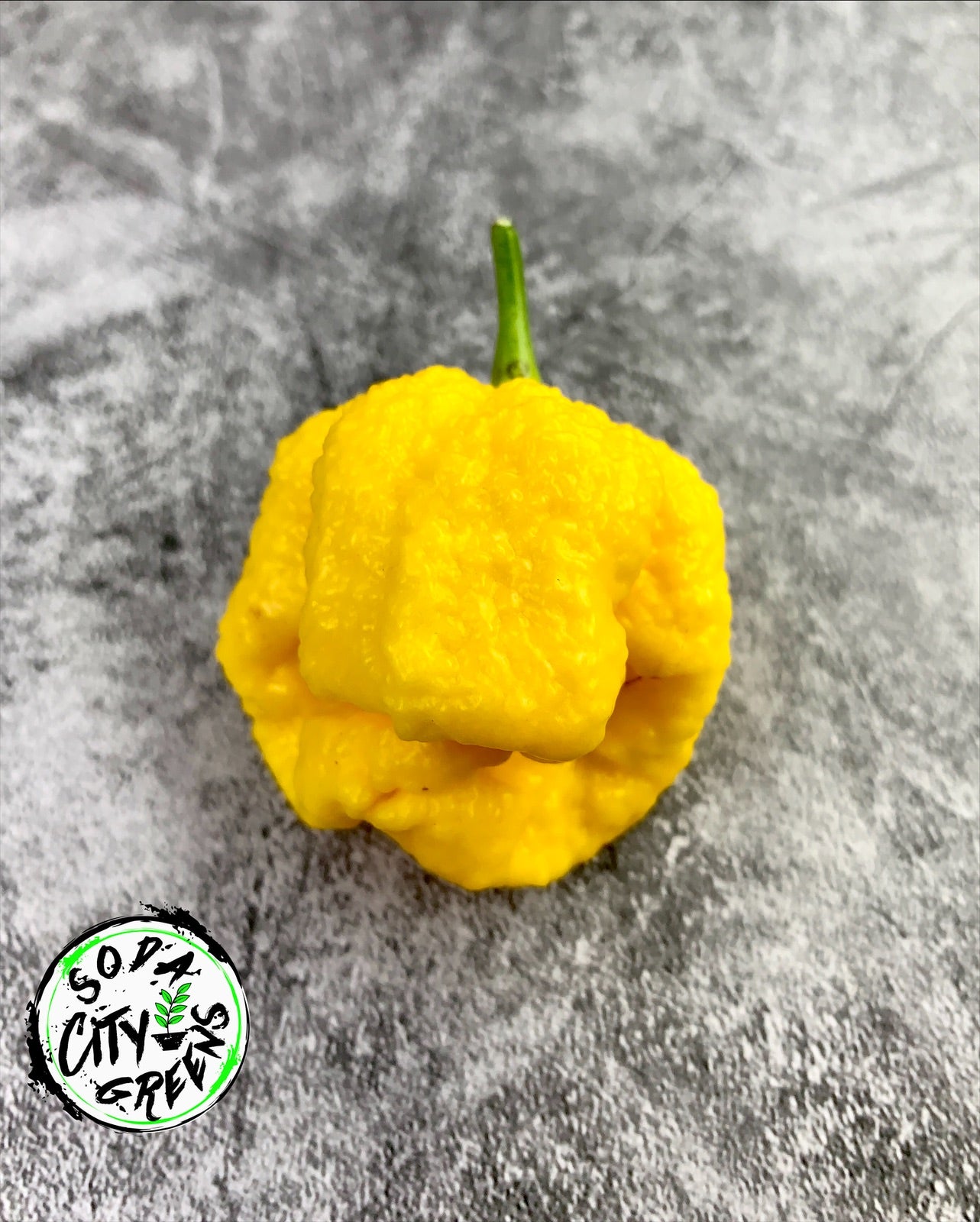 Yellow Moruga Scorpion Pepper Seeds