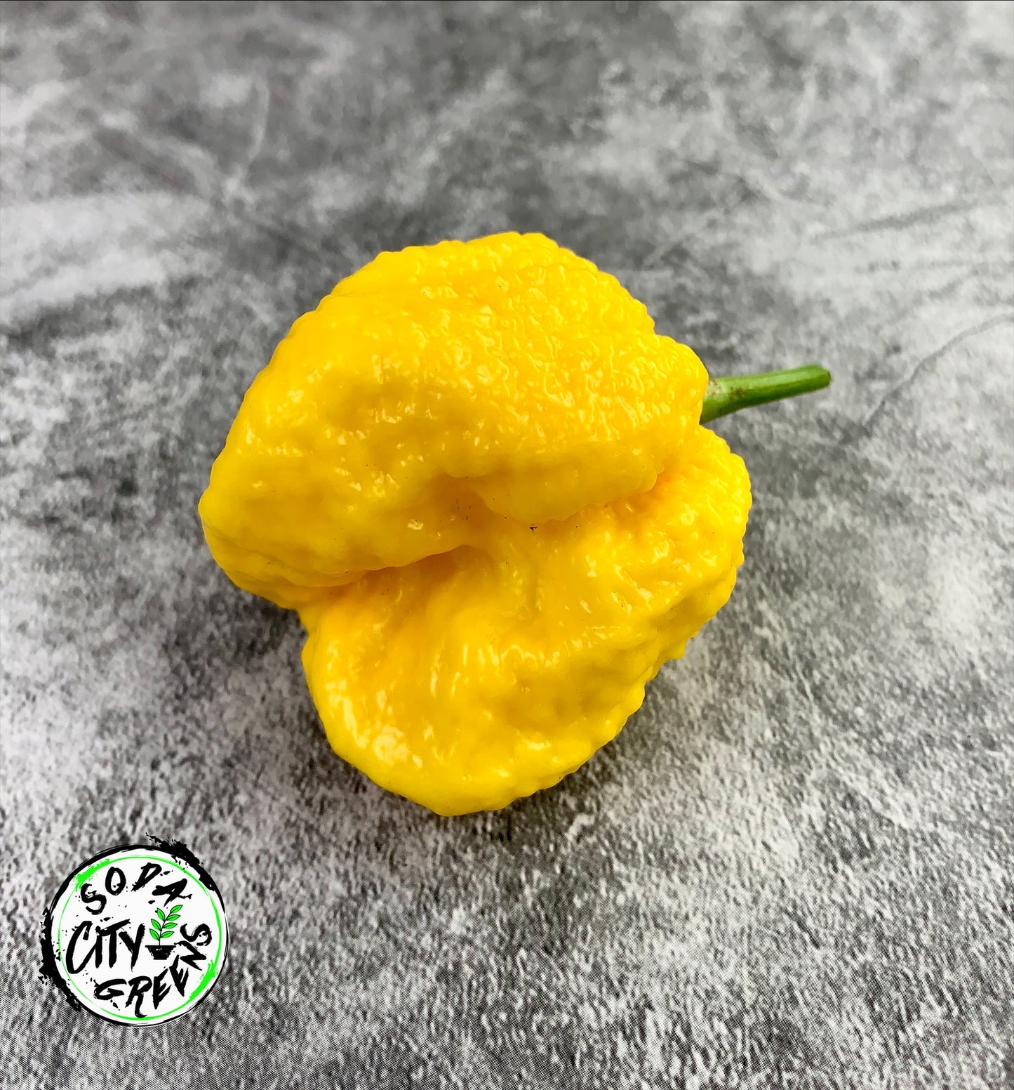 Yellow Moruga Scorpion Pepper Seeds