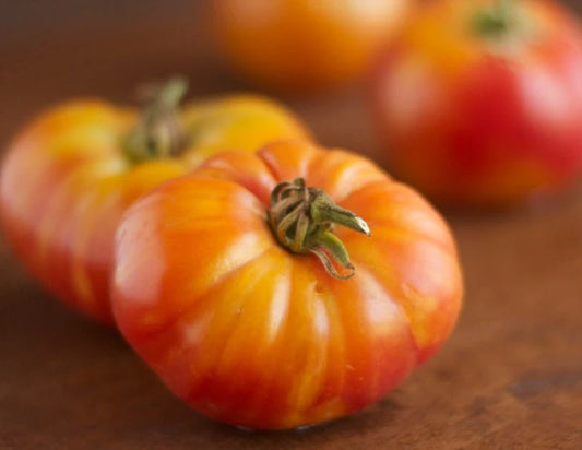 Oaxacan Jewel Striped Tomato Seeds
