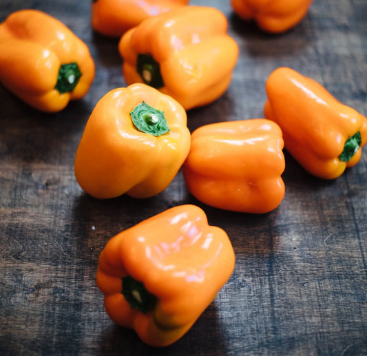 Orange Sun Bell Pepper Seeds
