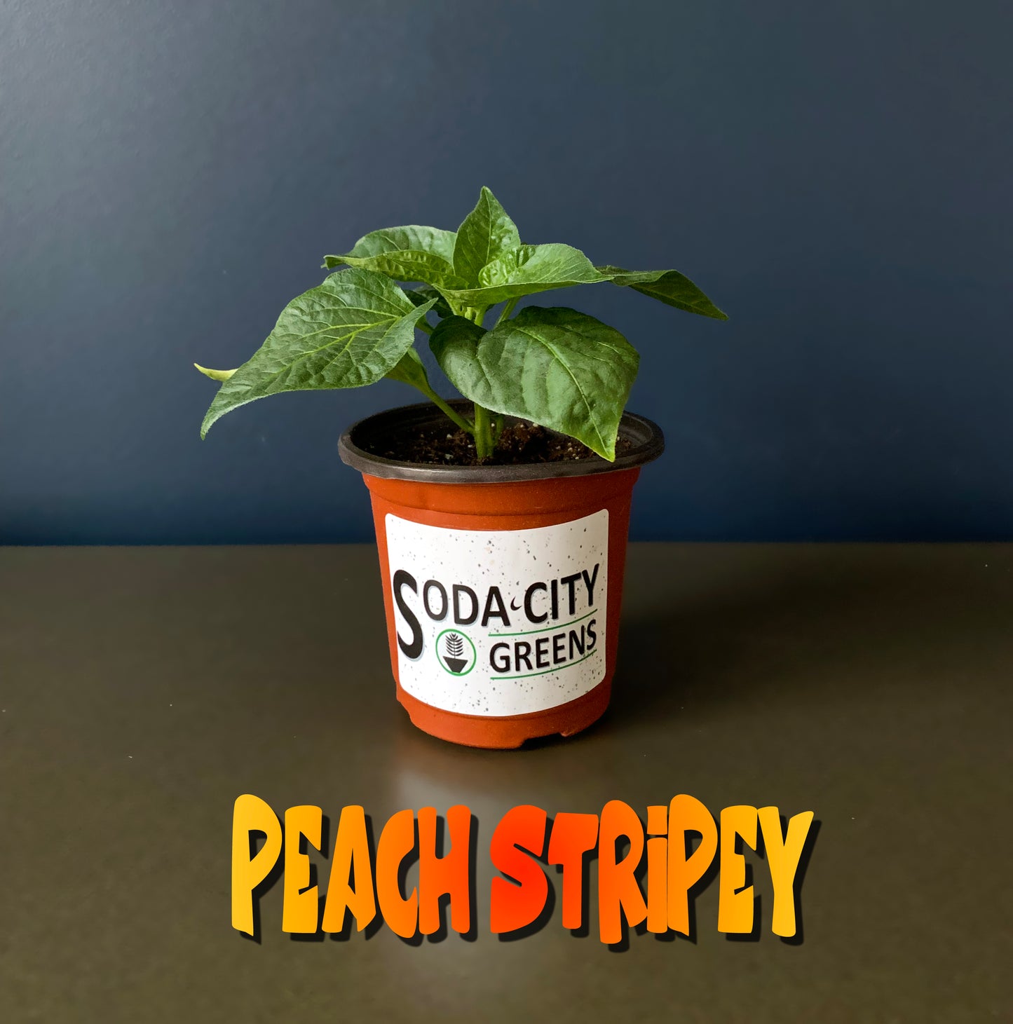 Peppapeach Stripey Pepper Seeds