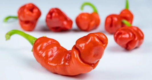 Peter (P***S) XXX Rated Pepper Seeds