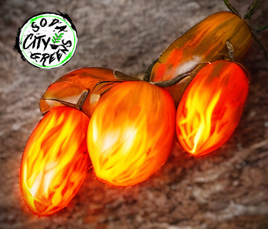 Prairie Fire Tomato Seeds