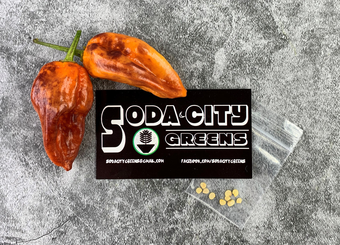 Purple Bhut Wrecker (Purple Ghost) Pepper Seeds