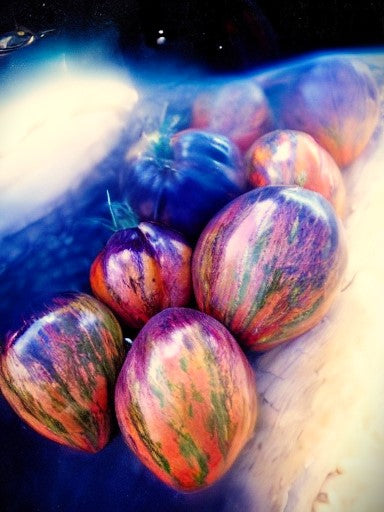 Rebel Starfighter Prime Tomato Seeds