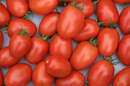 Roma Tomato Seeds